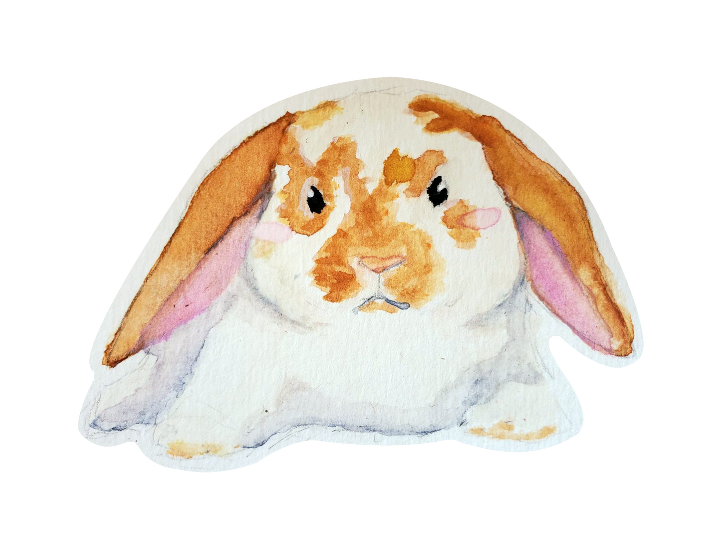 Watercolour Lop Bunny Sticker
