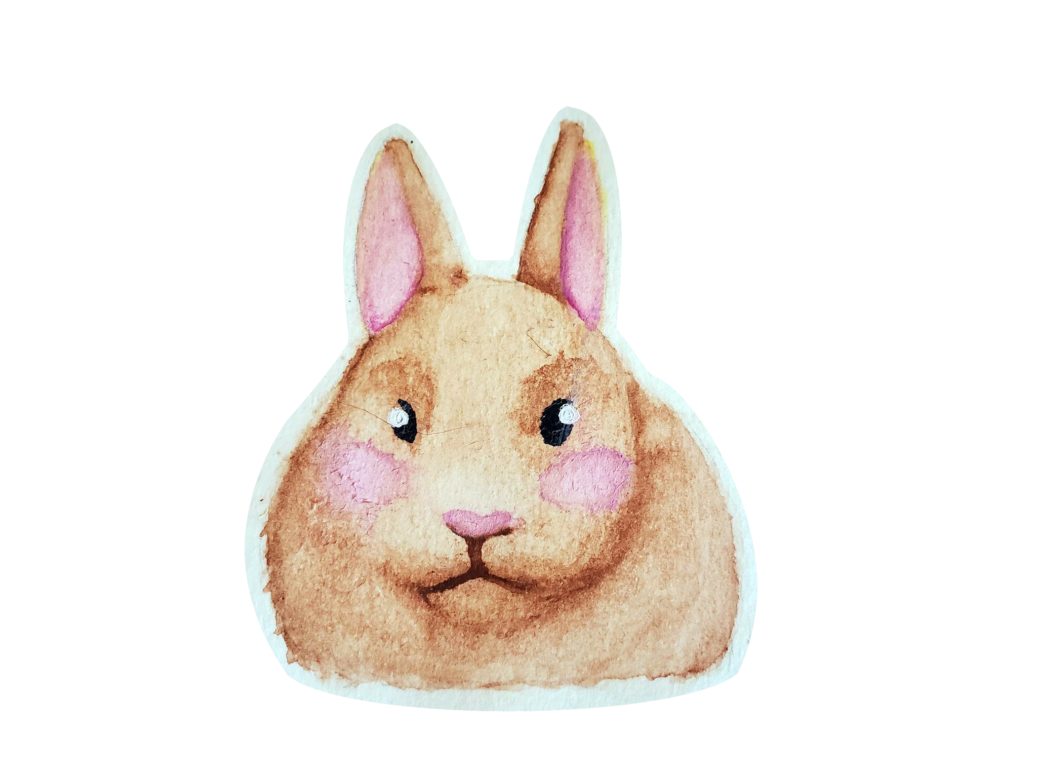 Brown Rabbit Deviantart PsychoRabbit Art