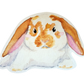 Watercolour Lop Bunny Sticker