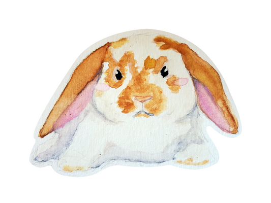Watercolour Lop Bunny Sticker