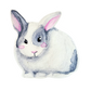 White and Grey Watercolour Bunny Sticker